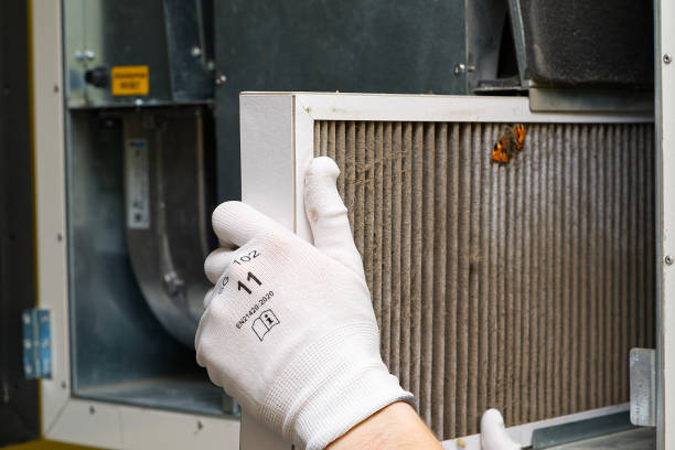 Best Professional Duct Cleaning Services  in Appleton City, MO